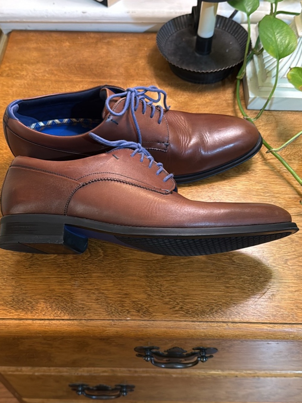 Ted Baker Brown Leather Derbys with Blue Detailing